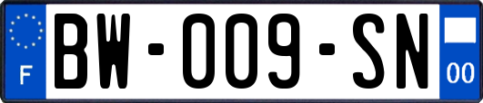 BW-009-SN