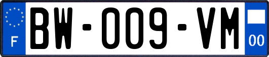 BW-009-VM