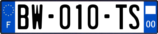 BW-010-TS