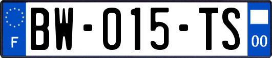 BW-015-TS