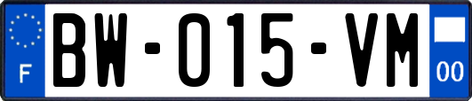BW-015-VM