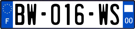 BW-016-WS