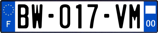 BW-017-VM