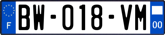 BW-018-VM