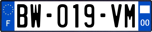 BW-019-VM