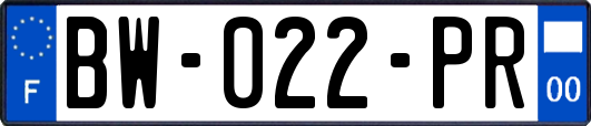 BW-022-PR