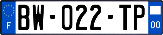 BW-022-TP