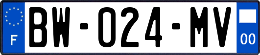 BW-024-MV
