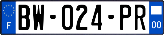 BW-024-PR