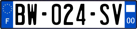 BW-024-SV