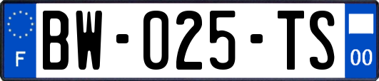 BW-025-TS