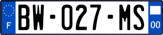 BW-027-MS
