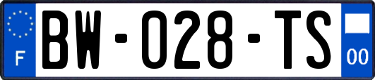 BW-028-TS