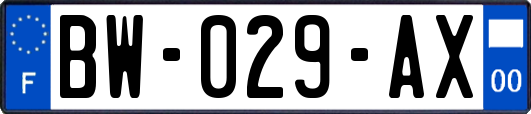 BW-029-AX