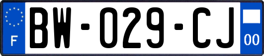 BW-029-CJ