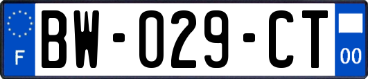 BW-029-CT