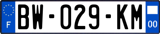 BW-029-KM
