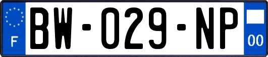 BW-029-NP
