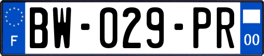 BW-029-PR