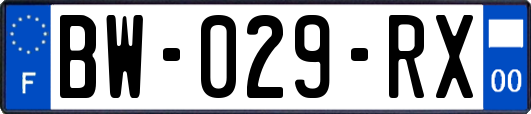 BW-029-RX