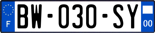 BW-030-SY