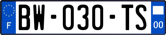 BW-030-TS