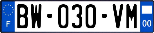BW-030-VM