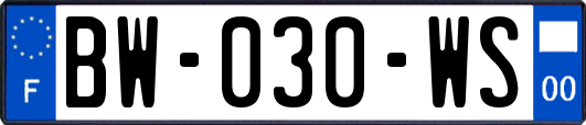BW-030-WS