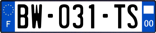 BW-031-TS