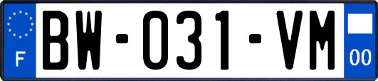 BW-031-VM