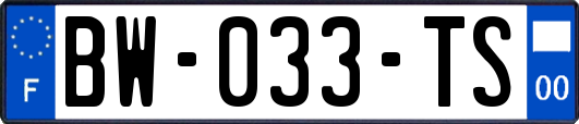 BW-033-TS