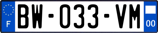 BW-033-VM