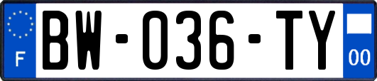 BW-036-TY