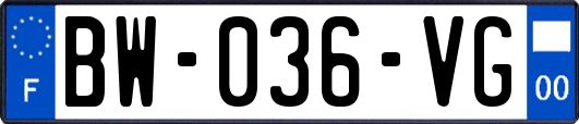 BW-036-VG