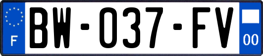 BW-037-FV