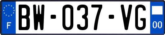 BW-037-VG