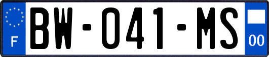 BW-041-MS