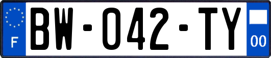BW-042-TY