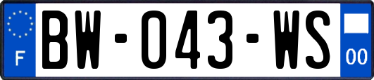 BW-043-WS
