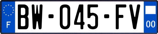 BW-045-FV