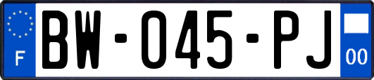 BW-045-PJ