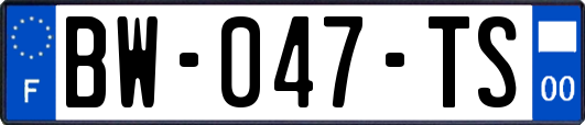 BW-047-TS