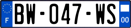 BW-047-WS