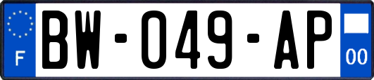 BW-049-AP