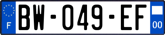 BW-049-EF