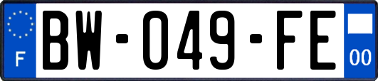 BW-049-FE