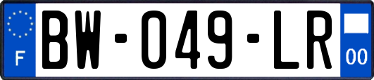 BW-049-LR