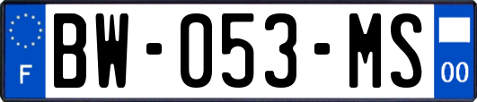 BW-053-MS