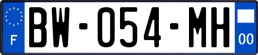BW-054-MH
