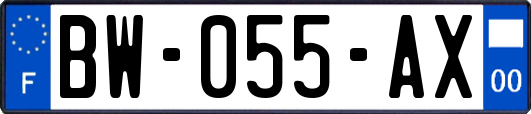 BW-055-AX